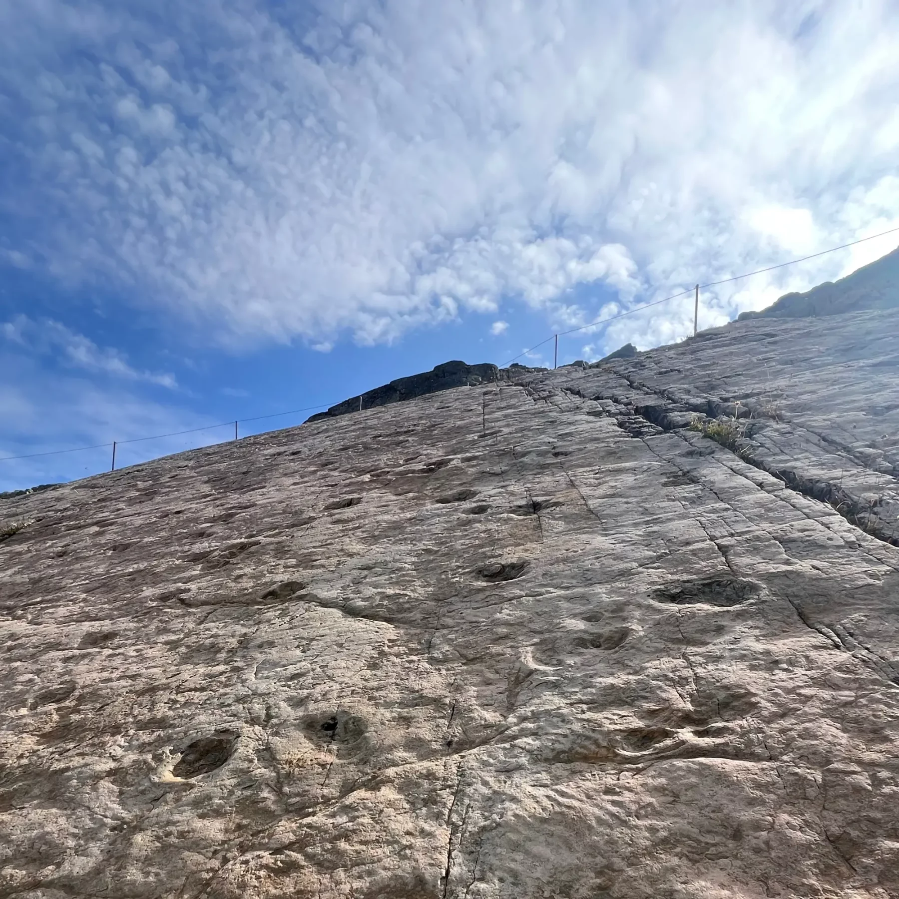 Empreintes dinosaures