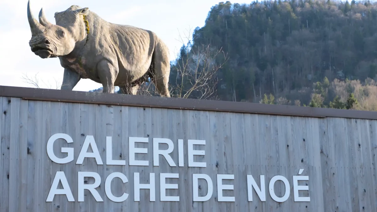 Galerie Arche de Noé