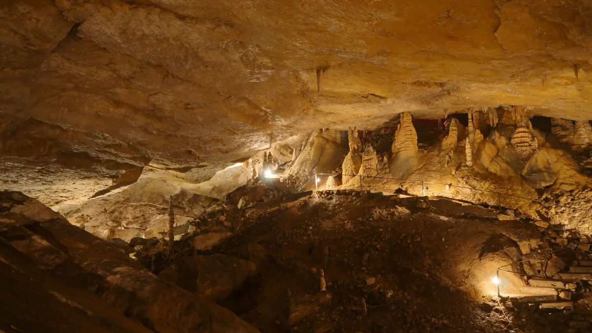 Grottes et Préhisto-Parc