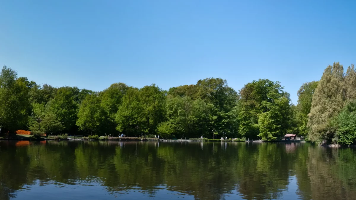 Lac de Sauvabelin